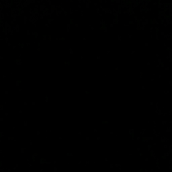 hollister925